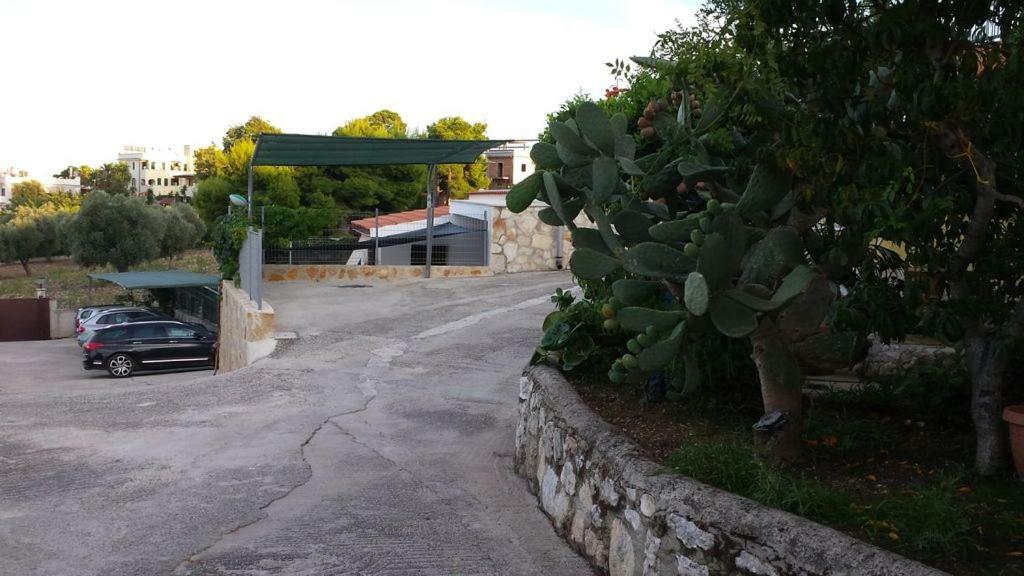 Villa Lucrezia Trilo Vieste Exterior foto