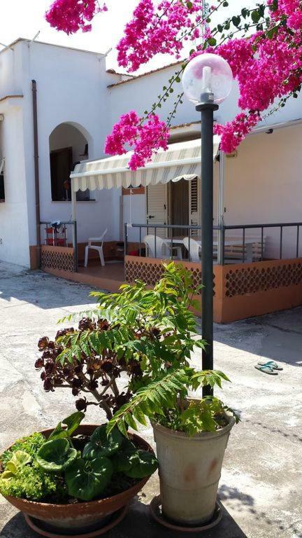 Villa Lucrezia Trilo Vieste Exterior foto